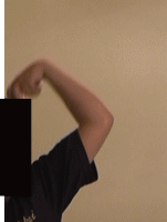 ������Ђ˂�c�J�[�u�̘r�̐U��1