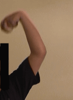 ������Ђ˂�c�J�[�u�̘r�̐U��2