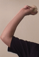 �E����SFF�̘r�̐U��1