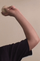 ������SFF�̘r�̐U��1