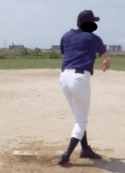 �E����K�E1�ی����{�ە������瓮��5