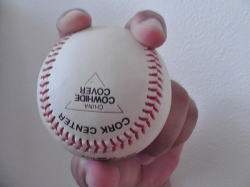 ������V���J�[�̈����3