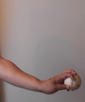 ������T�C�h�X���[�V���J�[�̘r�̐U��3