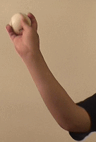 �E����X���[�N�E�H�[�^�[�V���J�[�̘r�̐U���2