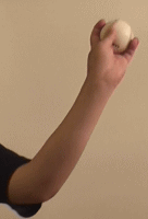 ������X���[�N�E�H�[�^�[�V���J�[�̘r�̐U���2