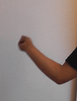 �E���菬�����V���J�[�̘r�̐U��1