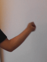 �����菬�����V���J�[�̘r�̐U��1