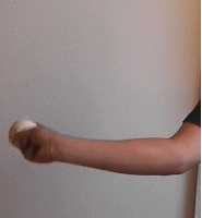 �E���菬�����V���J�[�̘r�̐U��2