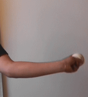 �����菬�����V���J�[�̘r�̐U��2