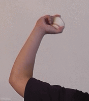 �E����c�X���C�_�[�̘r�̐U��1