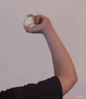 ������c�X���C�_�[�̘r�̐U��1