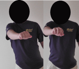 �e�C�N�o�b�N���̘r�ł̗}���ƌ��ł̗}���̔�r